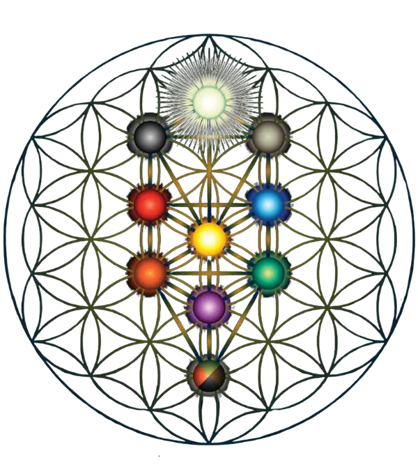 Formação Mesa Radionica Sagrada Beit